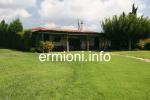 GL 0114 - Beach Retreat Estate - Plepi - Ermioni